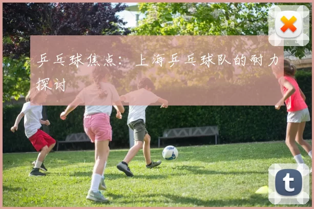 乒乓球焦点：上海乒乓球队的耐力探讨