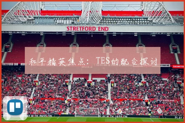 和平精英焦点：TES的配合探讨